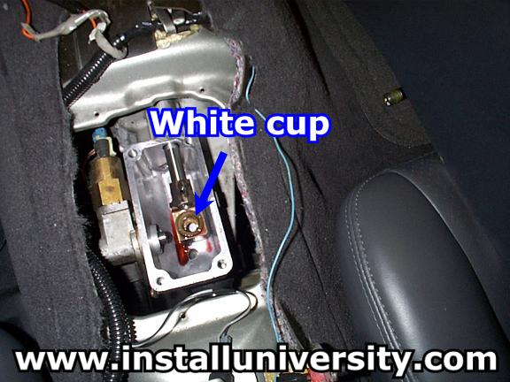 white_cup_locator